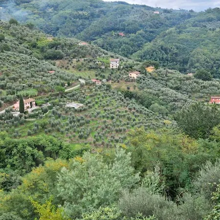 Hill Lovely House Massa (Tuscany)